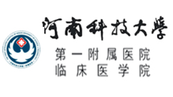 河南科技大学医院
